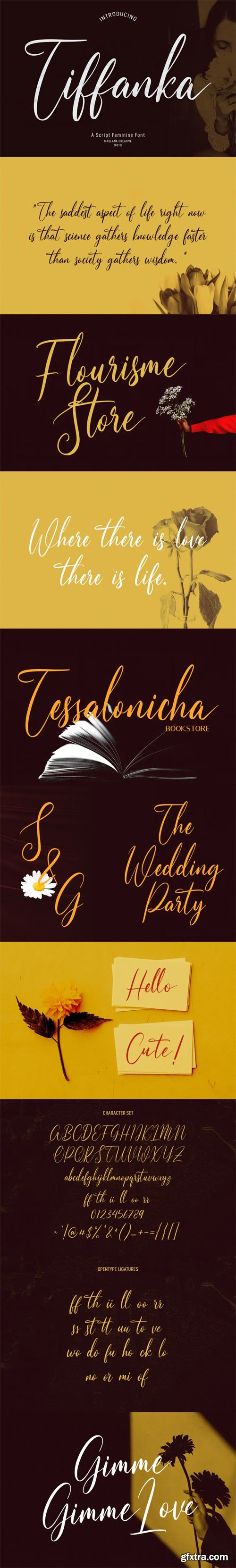 Tiffanka - Script Feminine Font Tiffanka - Script Feminine Font