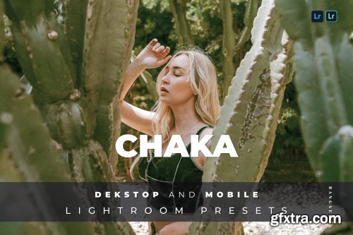 Chaka Desktop and Mobile Lightroom Preset