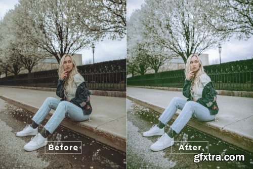 Chaka Desktop and Mobile Lightroom Preset