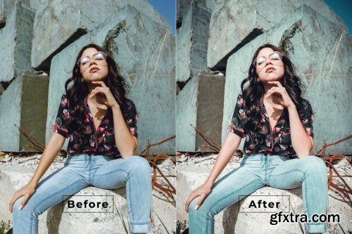 Chahna Desktop and Mobile Lightroom Preset