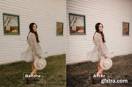 Chahna Desktop and Mobile Lightroom Preset