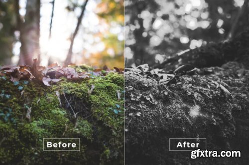 Bangset Black & White Pack 1 Video LUTs