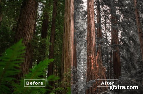 Bangset Cinema Pack 21 Video LUTs