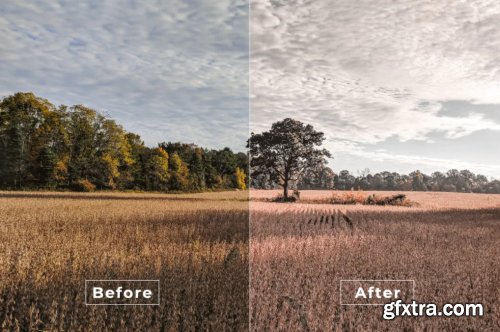 Bangset Cinema Pack 21 Video LUTs