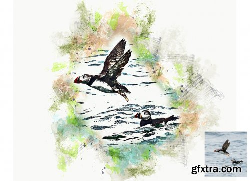 CreativeMarket - Premium Watercolor Art Action 6422817