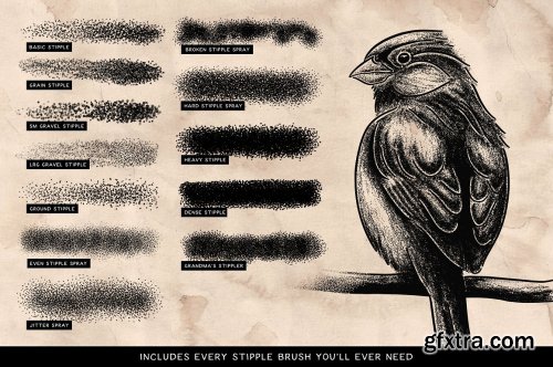 CreativeMarket - Stipple Shading Brushes for Affinity 4680212