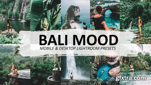 CreativeMarket - Bali Mood Lightroom Preset 5570074