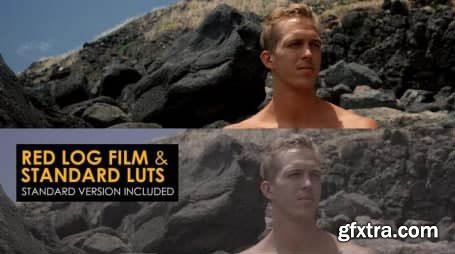 Red Log Film And Standard Luts 1007075 Red Log Film And Standard Luts 1007075
