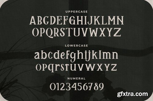 Remily – A Classy Serif Font