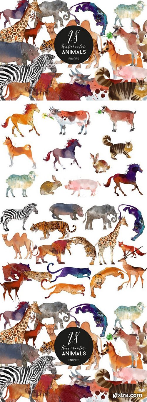 Watercolor animal set