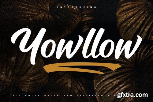 Yowllow Brush Handlettering Script Font