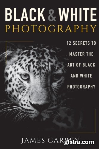 Black And White Photography: 12 Secrets to Master The Art of Black And White Photography