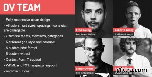 ThemeForest - DV Team v2.0 - Responsive Team Showcase WordPress Plugin - 9962337 ThemeForest - DV Team v2.0 - Responsive Team Showcase WordPress Plugin - 9962337