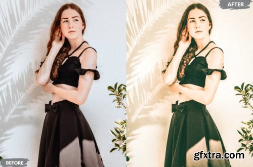 Gisel Lightroom Presets Dekstop and Mobile