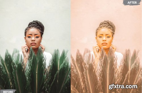 Gemini Lightroom Presets Dekstop and Mobile