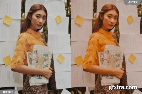 Leo Lightroom Presets Dekstop and Mobile