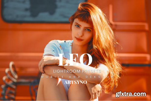 Leo Lightroom Presets Dekstop and Mobile