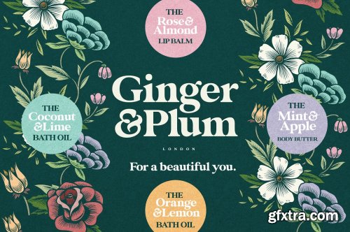 CreativeMarket - Glamour Absolute Modern/Vintage Font 4457843