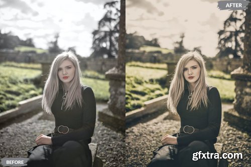 Larena Lightroom Presets Dekstop and Mobile