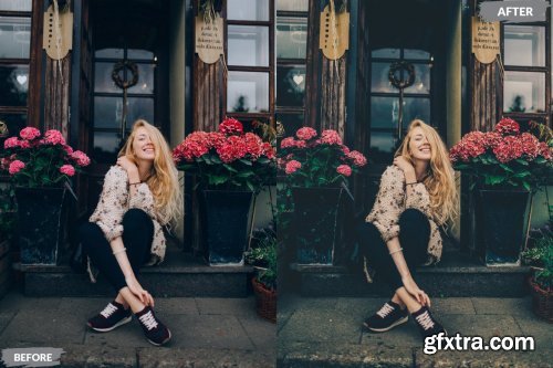 Larena Lightroom Presets Dekstop and Mobile