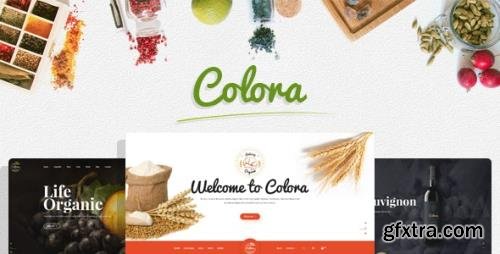 ThemeForest - Colora v1.1.1 - Organic Responsive Prestashop 1.7 Theme - 20755925