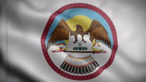 Videohive - Flag Of The Uintah And Ouray Indian Reservation Front - 34133206 - 34133206