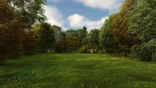 Videohive - GREENFIELD WITH GRASS WITH A BLUE SKY AND A FOREST IN SUMMER 2K - 34162987 - 34162987