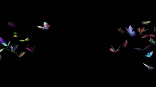 Videohive - Rainbow Butterflies - 2 Swarms of 21 - Flying Transition - Alpha Channel - 34164161 - 34164161