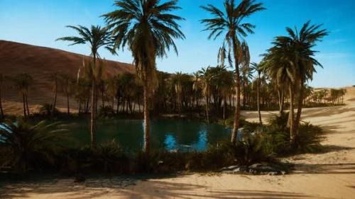 Videohive - Oasis with Palm Trees in Desert - 34249651 - 34249651