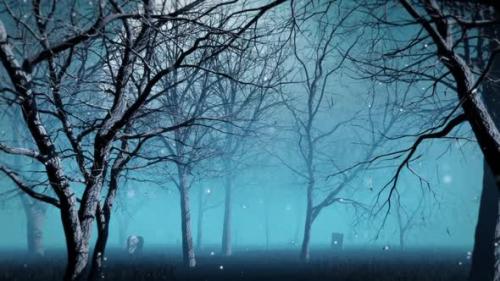 Videohive - Blue Fog Forest - 34255995 - 34255995