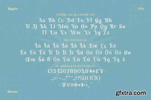 Bringster - Modern Serif Font