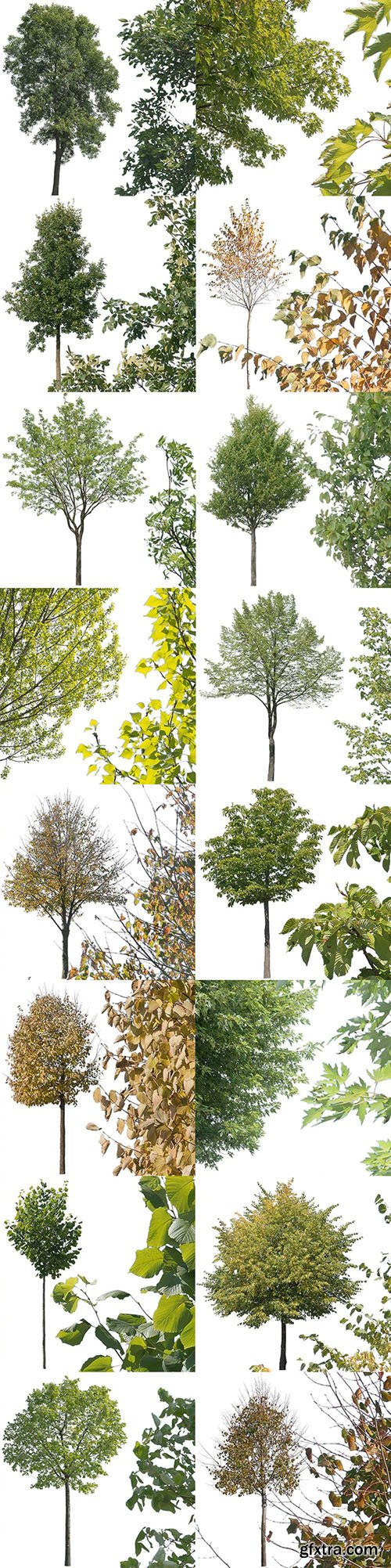 16 Cutout Trees - Transparent Stock Images 16 Cutout Trees - Transparent Stock Images