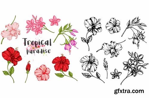 Tropical Flowers Design Kit