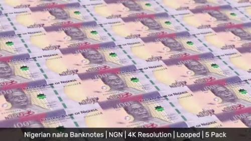 Videohive - Nigeria Banknotes Money / Nigerian naira / Currency ₦ / NGN / 5 Pack - 4K - 34471851 - 34471851