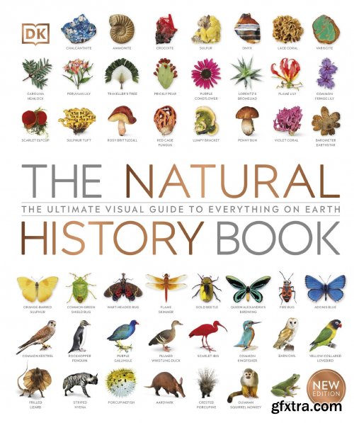 The Natural History Book: The Ultimate Visual Guide to Everything on Earth, New Edition