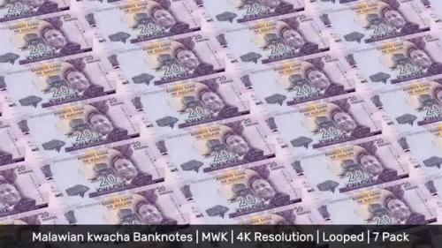 Videohive - Malawi Banknotes Money / Malawian kwacha / Currency MK / MWK/ | 7 Pack | - 4K - 34521996 - 34521996