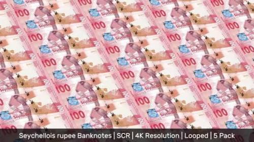 Videohive - Seychelles Banknotes Money / Seychellois rupee / Currency ₨ / SCR/ | 5 Pack | - 4K - 34536479 - 34536479