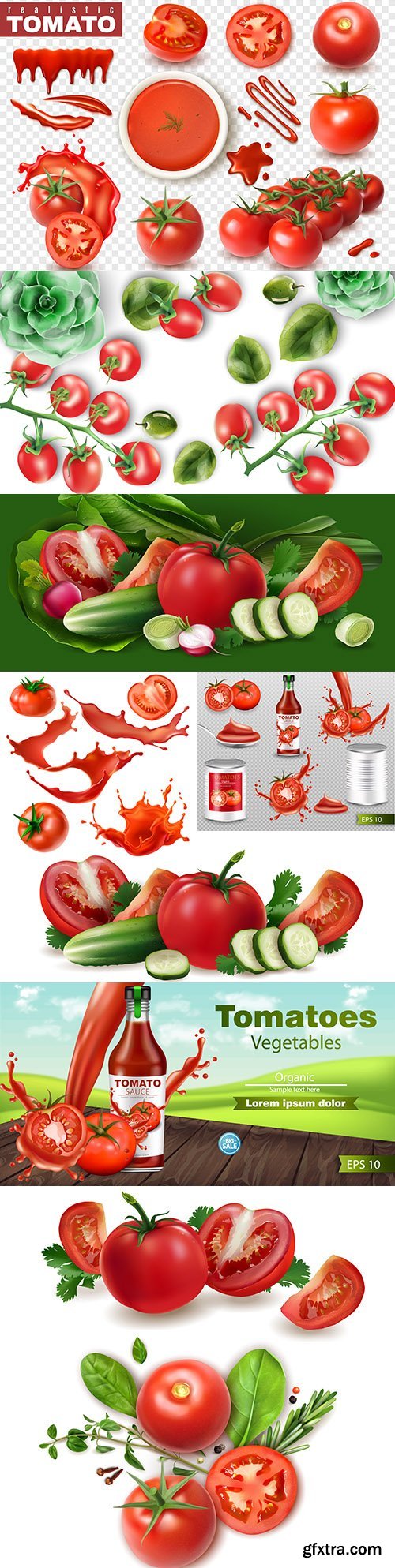 Fresh tomatoes and greens realistic illustrations