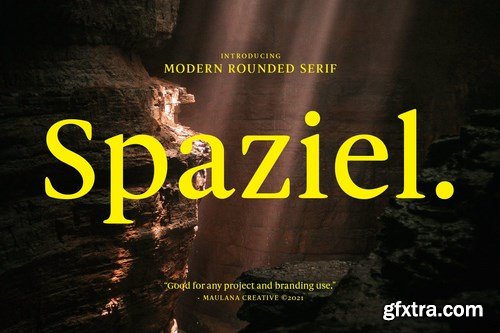 Spaziel Modern Rounded Serif Font