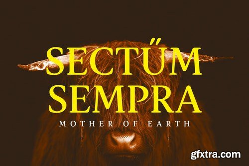 Spaziel Modern Rounded Serif Font