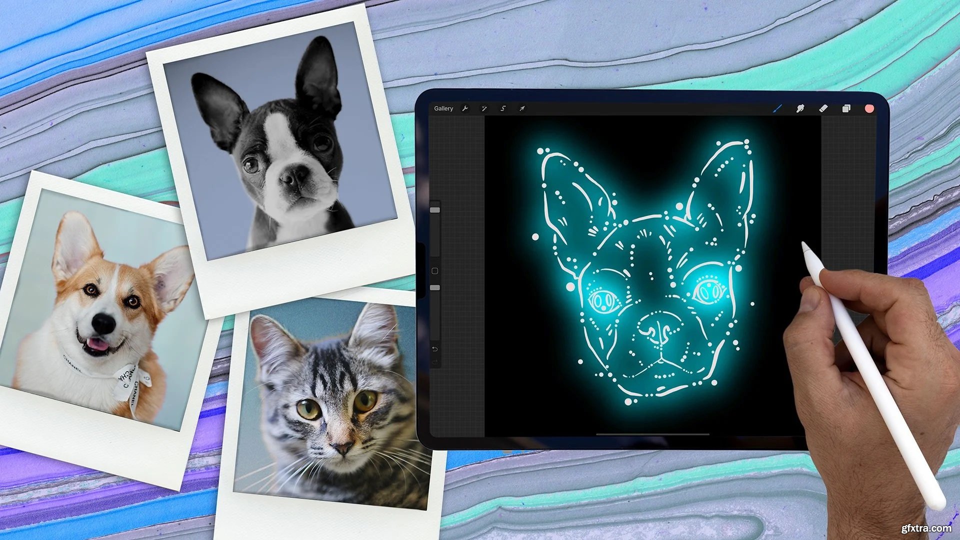 Easy Pet Portraits in Procreate Draw Animals as DIY Gifts Using POD