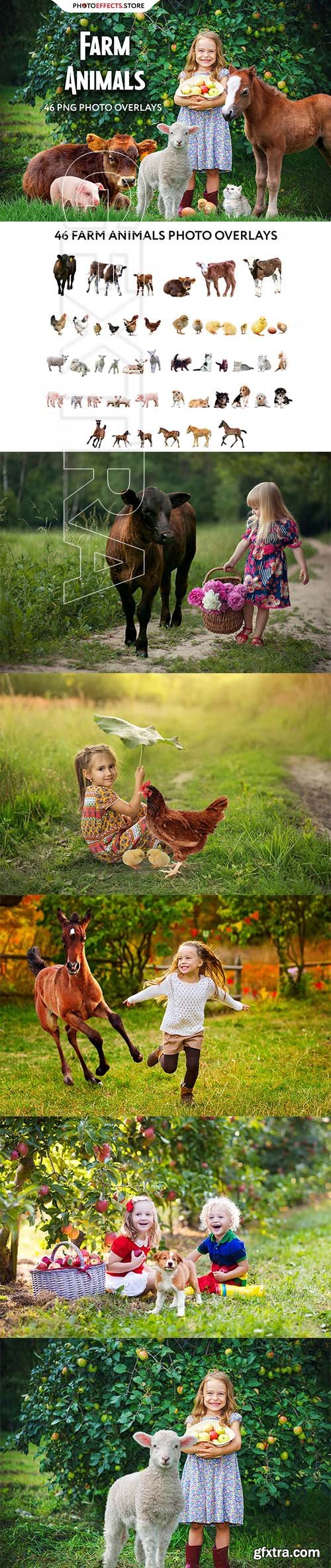 CreativeMarket - 46 Farm Animals Photo Overlays 6652852