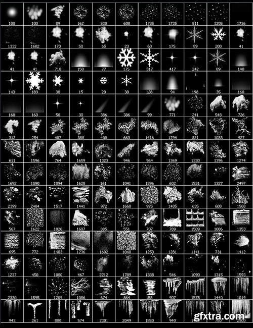 Ron's Winter Collection