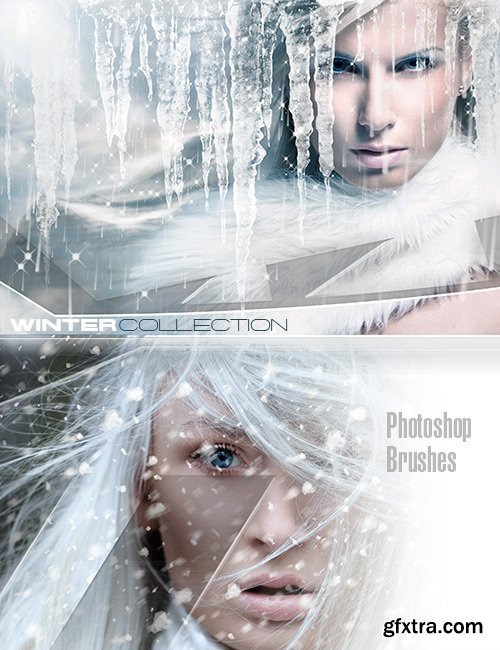 Ron's Winter Collection