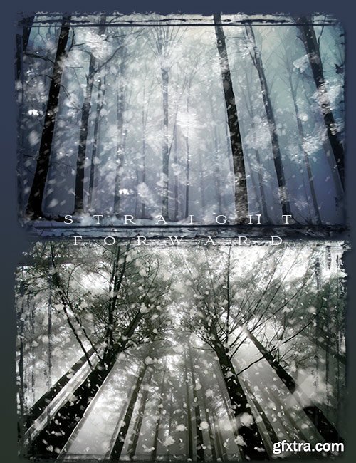 Ron's Winter Collection