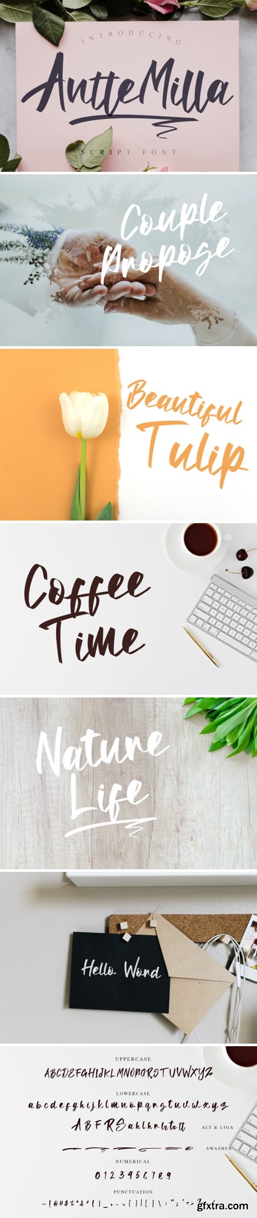 Antte Milla Font