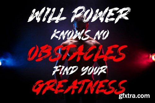 GINGERS - Display Brush