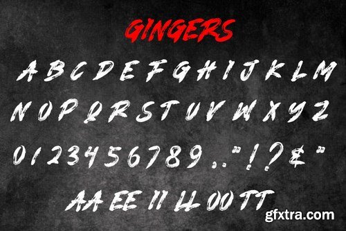 GINGERS - Display Brush