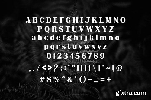 Nu Arge Serif Font
