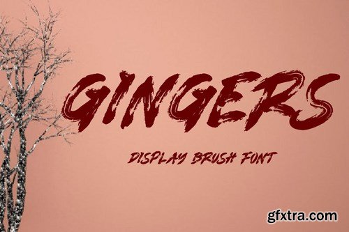 GINGERS - Display Brush